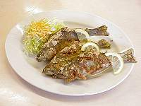 �j�W�}�X�̂���g��