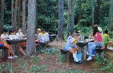 �e�q�Ńo�[�x�L���[