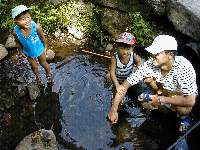 �e�q�ł��ݕ߂�