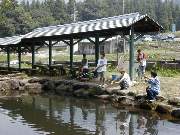 ����Ȃ̒ނ�x