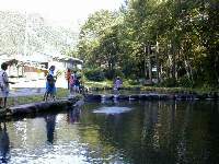 �ނ�r�i�j�W�}�X�j